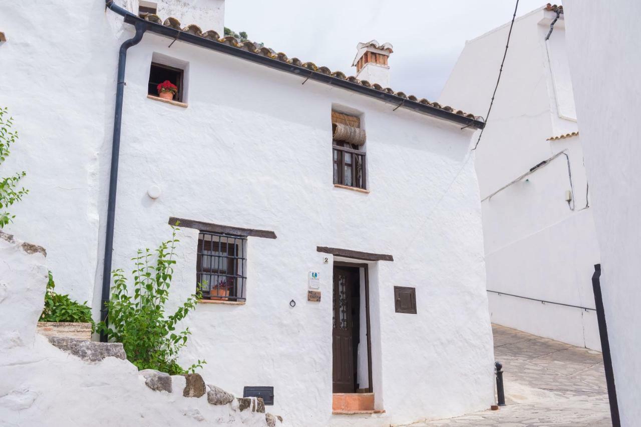 Penzion Conjunto Rural Casa Victoria Villaluenga Del Rosario Exteriér fotografie