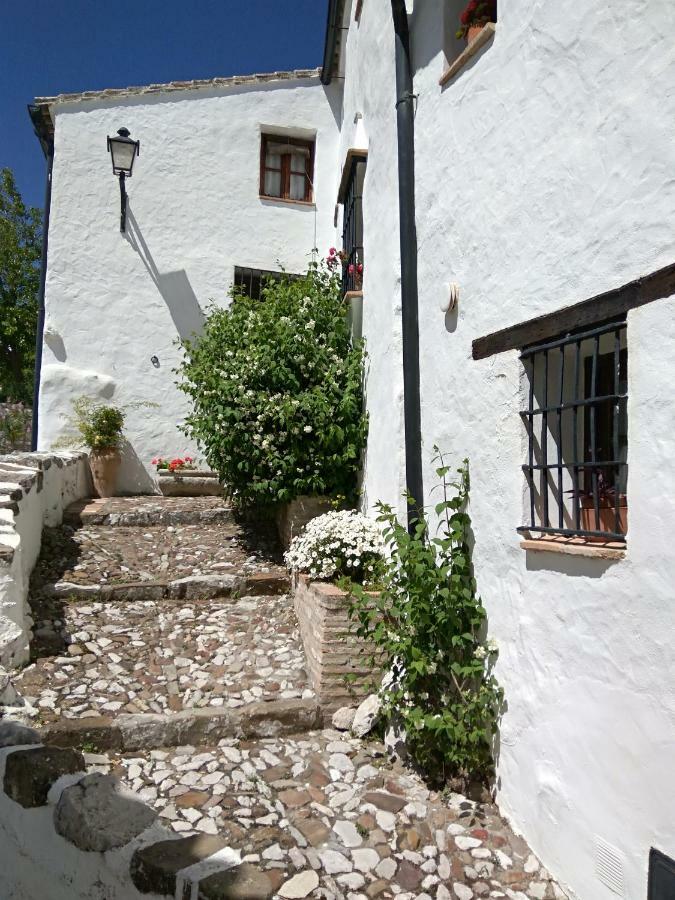 Penzion Conjunto Rural Casa Victoria Villaluenga Del Rosario Exteriér fotografie