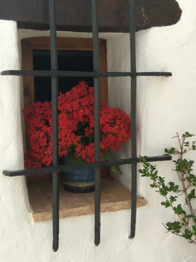 Penzion Conjunto Rural Casa Victoria Villaluenga Del Rosario Exteriér fotografie